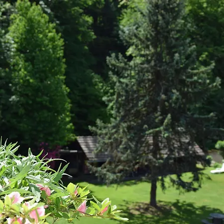 Garni Siesta Park Lägenhetshotell Losone